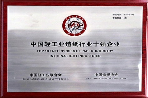 中國(guó)輕工業(yè)造紙行業(yè)十強(qiáng)企業(yè)